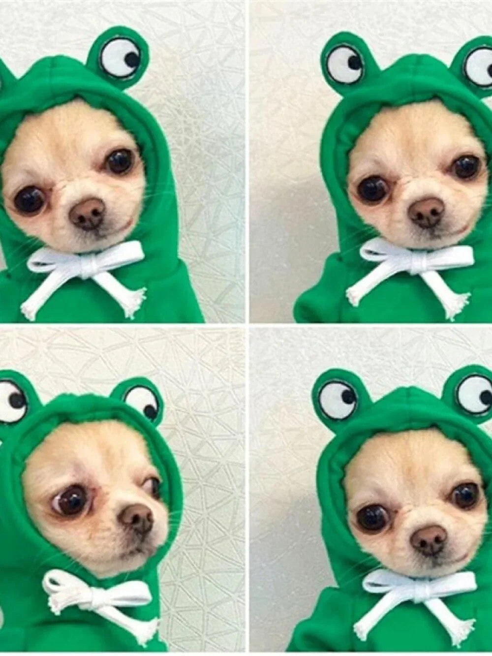 Warm Dog Winter Clothes Cute Fruit Dog Coat Hoodies